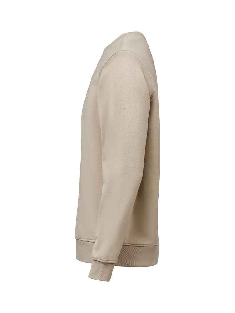 UM Crewneck (OCS-RCS)  Regular Fit Unisex