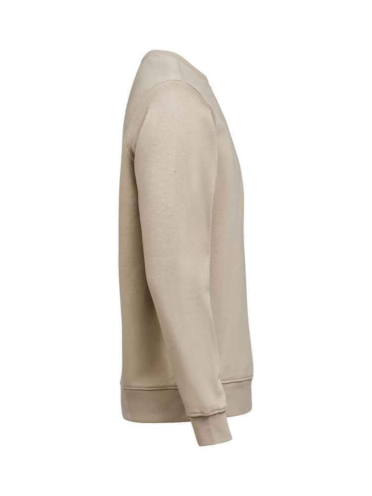 UM Crewneck (OCS-RCS)  Regular Fit Unisex