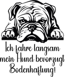 Auto Kleber Bulldogge