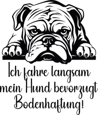 Auto Kleber Bulldogge
