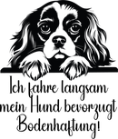 Auto Kleber Cavalier King Charles Spaniel