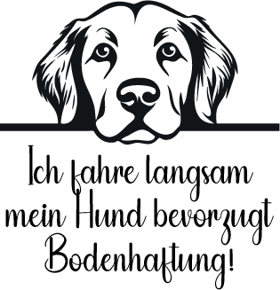 Auto Kleber Labrador